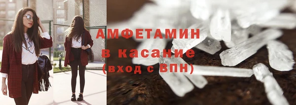 шишки Цимлянск