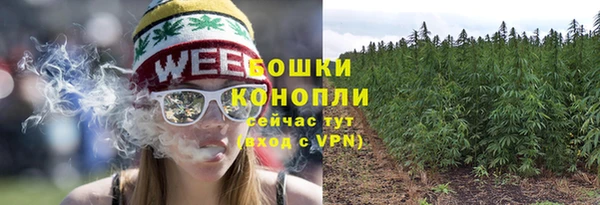 не бодяженный Сосновый Бор