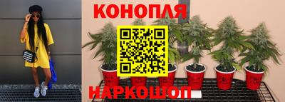 тгк Гусь-Хрустальный