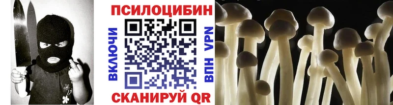 Псилоцибиновые грибы мицелий  Чапаевск 