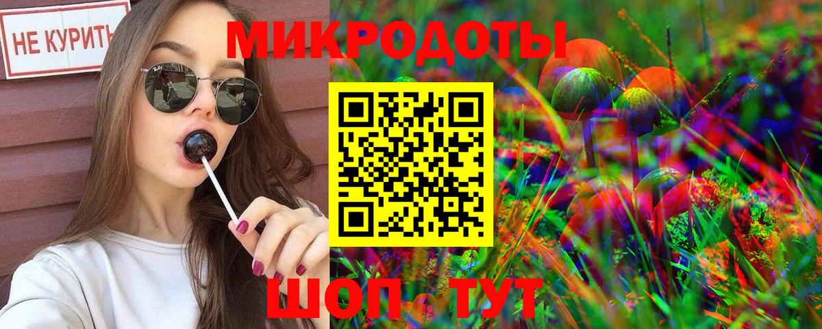 Псилоцибиновые грибы Psilocybine cubensis Чапаевск