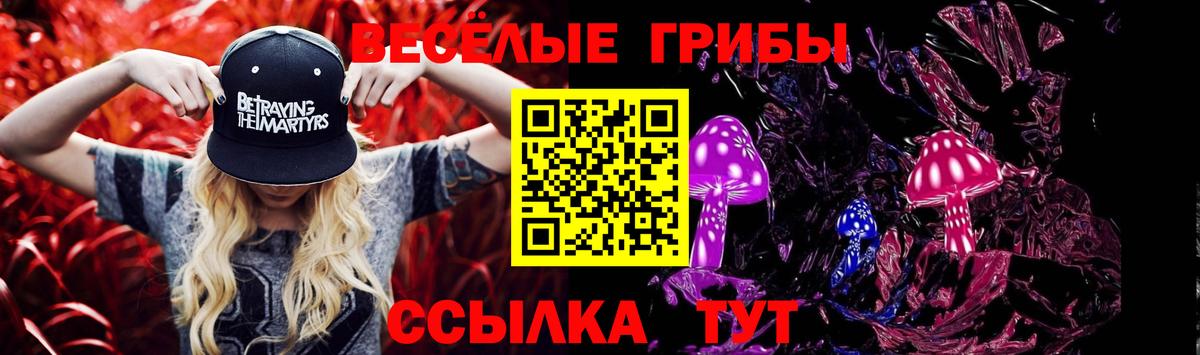 Псилоцибиновые грибы Cubensis  Псилоцибиновые грибы GOLDEN TEACHER  Чапаевск 