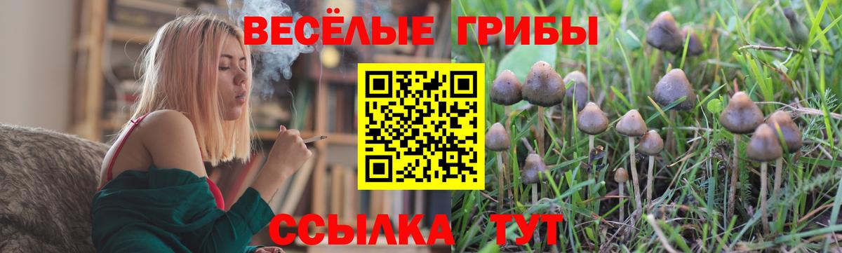 Псилоцибиновые грибы прущие грибы Чапаевск